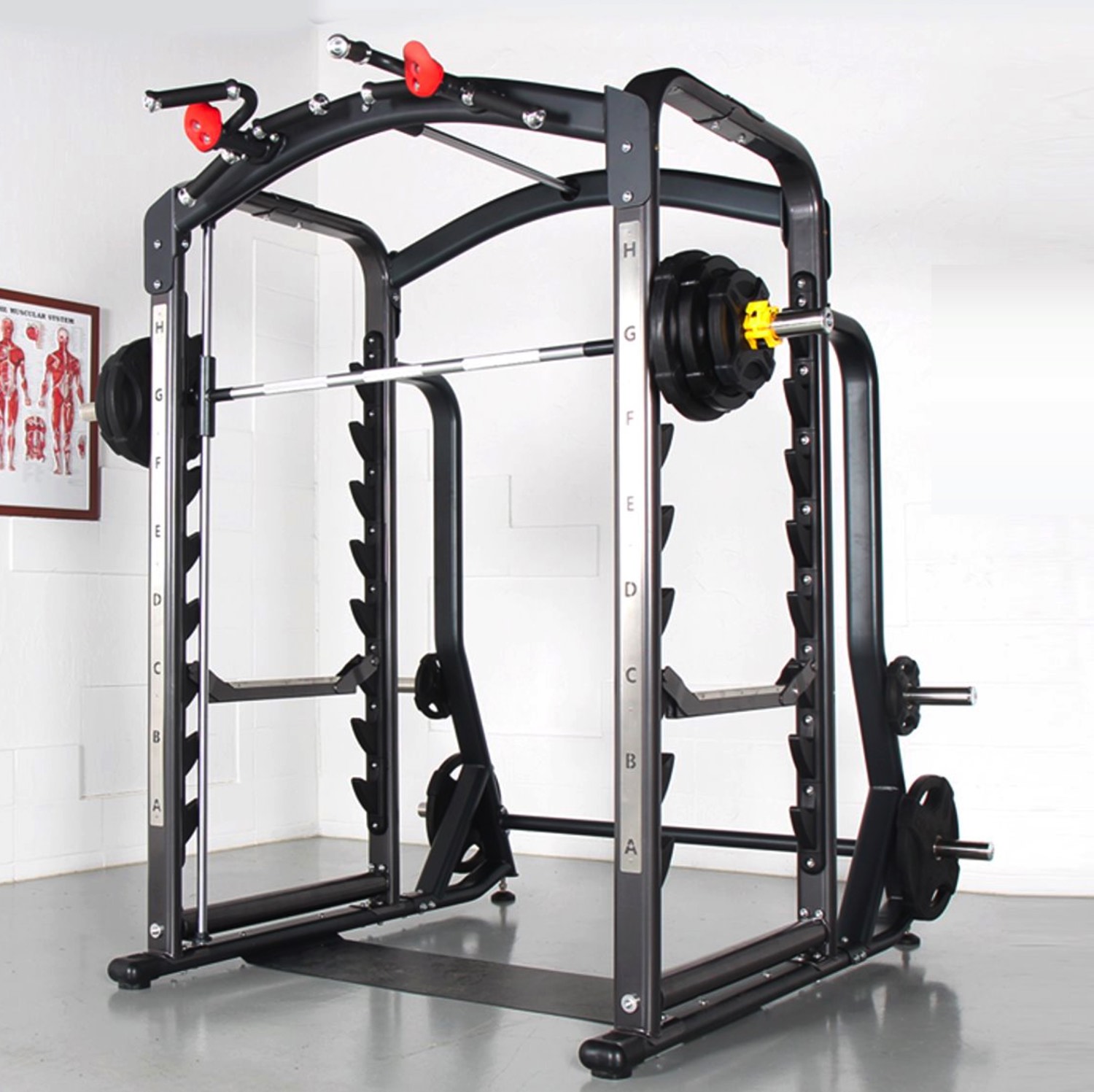 smith-machine-3d0