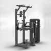 MB-09 - Dip / Chin Assist - IVADE - เครื่องออกกำลังกาย บริหารกล้ามเนื้อหลัง และ แขน